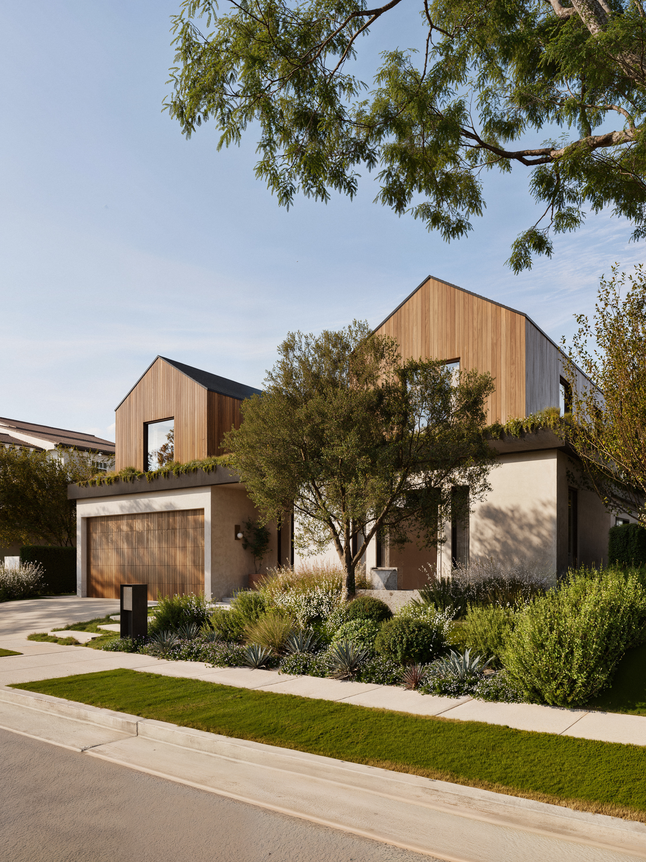A CD Equities residence — warm cedar cladding, wild landscape garden, soft afternoon light